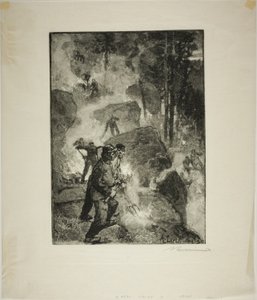 Bruciatori di felci nella foresta