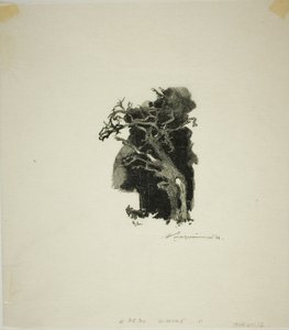 Lo Spitfire da Louis Auguste Lepère