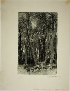 Inverno: Bas-Bréau da Louis Auguste Lepère
