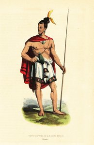 Capo Maori di Houa-Houa (Uawa), Tolaga Bay, Isola del Nord, Nuova Zelanda da Louis Auguste de (after) Sainson