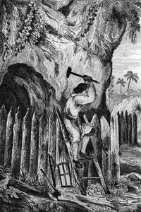 Ho piantato dieci file di palizzate. Incisione dal disegno di M. de Sainson per il libro di Daniel Defoe "Robinson Crusoe" edizione francese del 1837