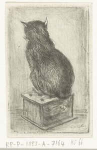 Gatto seduto su uno sgabello