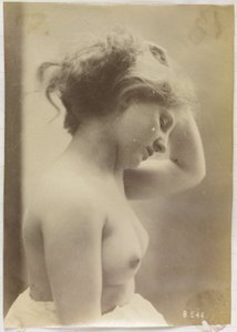 Studio di un nudo femminile, busto visto di lato, con i capelli sollevati