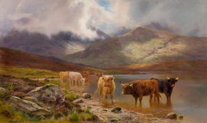 Bestiame delle Highlands da Louis Bosworth Hurt