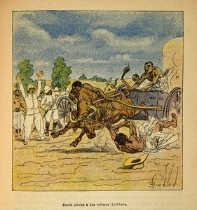 La guerra in Madagascar - Storia aneddotica delle spedizioni francesi del 1885-1895 di Henri Galli detto Galllichet (1854-1922), illustrato da Louis Bombled (1862-1927): Buoi raggiunti da carri Lefebvre da Louis Charles Bombled