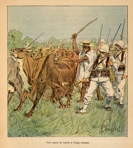 La guerra in Madagascar - Storia aneddotica delle spedizioni francesi del 1885-1895 di Henri Galli dit Galllichet, illustrata da Louis Bombled: A Diego-Suarez, l