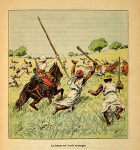 La guerra in Madagascar-Storia aneddotica delle spedizioni francesi del 1885-1895 di Henri Galli detto Galllichet (1854-1922), illustrato da Louis Bombled (1862-1927): La caccia ai buoi selvatici in Madagascar nel 1895, Collezione privata da Louis Charles Bombled