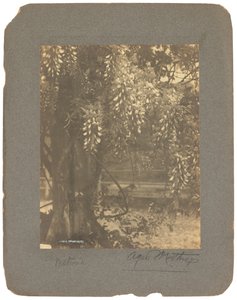 Tiffany Studios, c.1898-1920 da Louis Comfort Tiffany