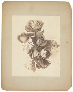 Tiffany Studios, c.1898-1920 da Louis Comfort Tiffany