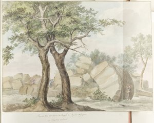 Rovine del tempio di Zeus Olimpio nell