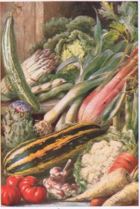 Ortaggi da giardino, illustrazione da 