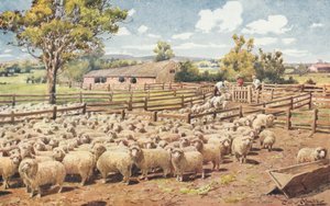 Scena in una stazione di pecore australiana da Louis Fairfax Muckley