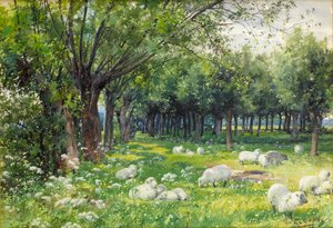 Pecore in un frutteto in primavera