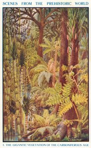 La gigantesca vegetazione del Carbonifero (litografia a colori) da Louis Fairfax Muckley