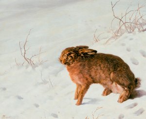 Lepre nella neve, 1875 da Louis Ferdinand von Rayski