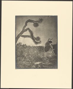 Danza Apache