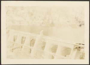 [Ponte]