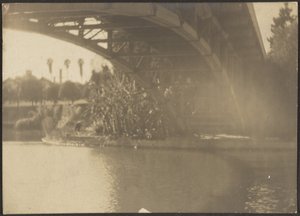 [Ponte sul fiume] da Louis Fleckenstein