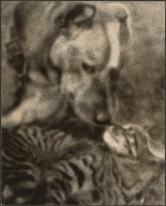  da Louis Fleckenstein