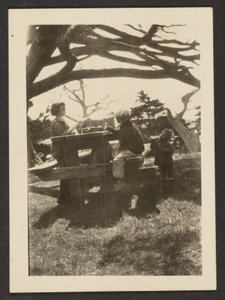 [Bambini a un tavolo da picnic]