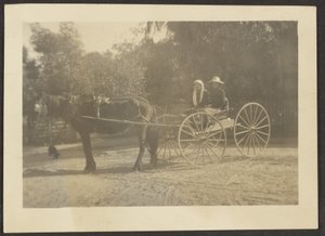 [Coppia in carrozza]