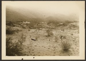 [Coyote Canyon] da Louis Fleckenstein