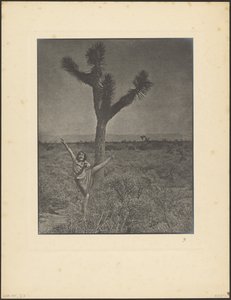  da Louis Fleckenstein
