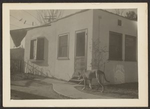 [Cane vicino a casa] da Louis Fleckenstein
