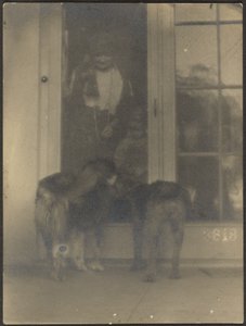 [Cani alla porta] da Louis Fleckenstein
