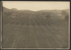 [Paesaggio agricolo] da Louis Fleckenstein