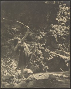 [Arciere donna nel bosco]