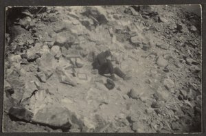 [Figura su roccia] da Louis Fleckenstein