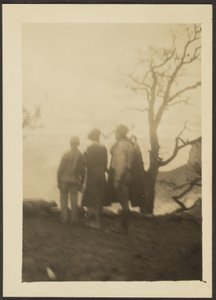 [Figure in ombra con albero]