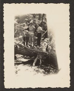 [Figure nel bosco]