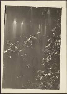[Figure nel bosco]