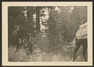 [Figure in un paesaggio boschivo].