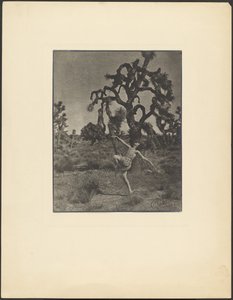 Ispirazione della danza