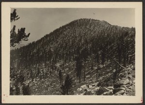 [Jean Peak from Trail] da Louis Fleckenstein