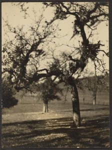 [Paesaggio]