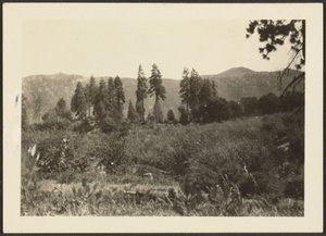 [Paesaggio]