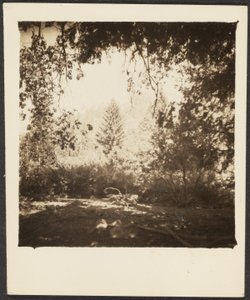 [Paesaggio]