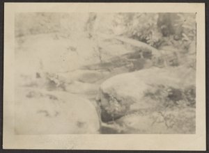 [Paesaggio] da Louis Fleckenstein