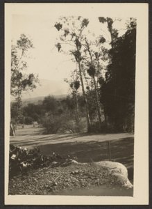 [Paesaggio]
