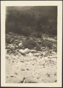 [Paesaggio] da Louis Fleckenstein