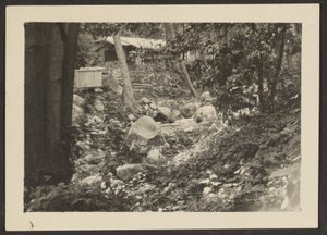 [Paesaggio]