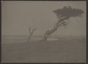 [Paesaggio] da Louis Fleckenstein