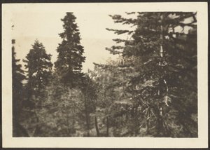 [Paesaggio] da Louis Fleckenstein