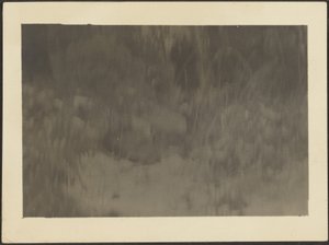 [Paesaggio] da Louis Fleckenstein