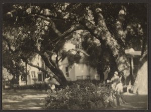 [Paesaggio] da Louis Fleckenstein