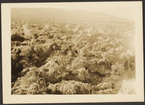 [Paesaggio] da Louis Fleckenstein